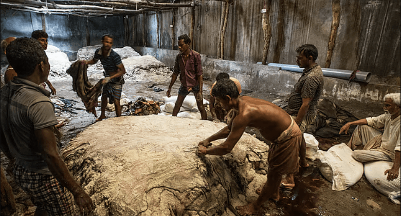 ৭৫–৮০ লাখ চামড়া সংগ্রহের লক্ষ্য, ঋণ সহায়তায় ব্যাংকগুলো