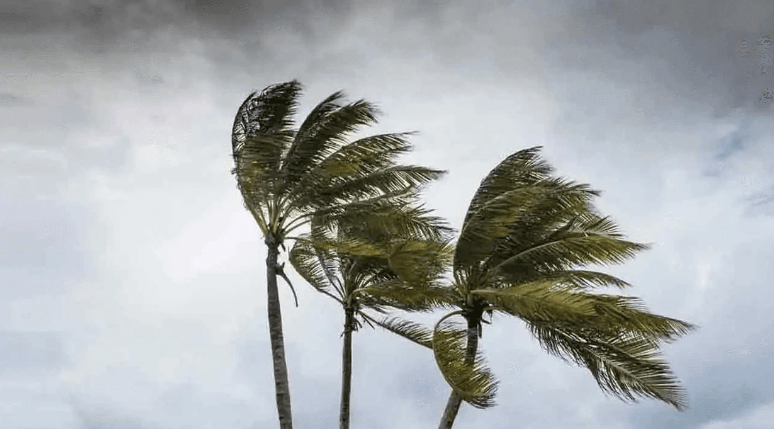 দেশের বিভিন্ন এলাকায় দমকা হাওয়া ও বৃষ্টির পূর্বাভাস, নদীবন্দরে সংকেত