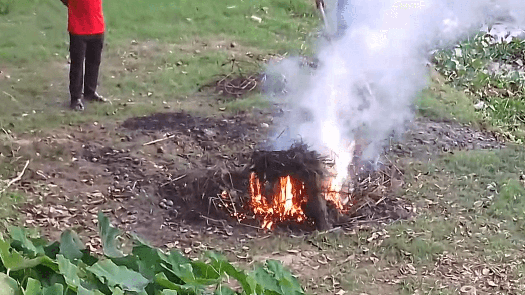 শ্রীবরদীতে নিষিদ্ধ চায়না দুয়ারি ও কারেন্ট জাল পুড়িয়ে ধ্বংস