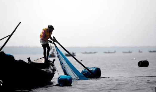 বঙ্গোপসাগরের মাছ চিনতেই ভুল, টেকসই নীল অর্থনীতির বড় বাধা