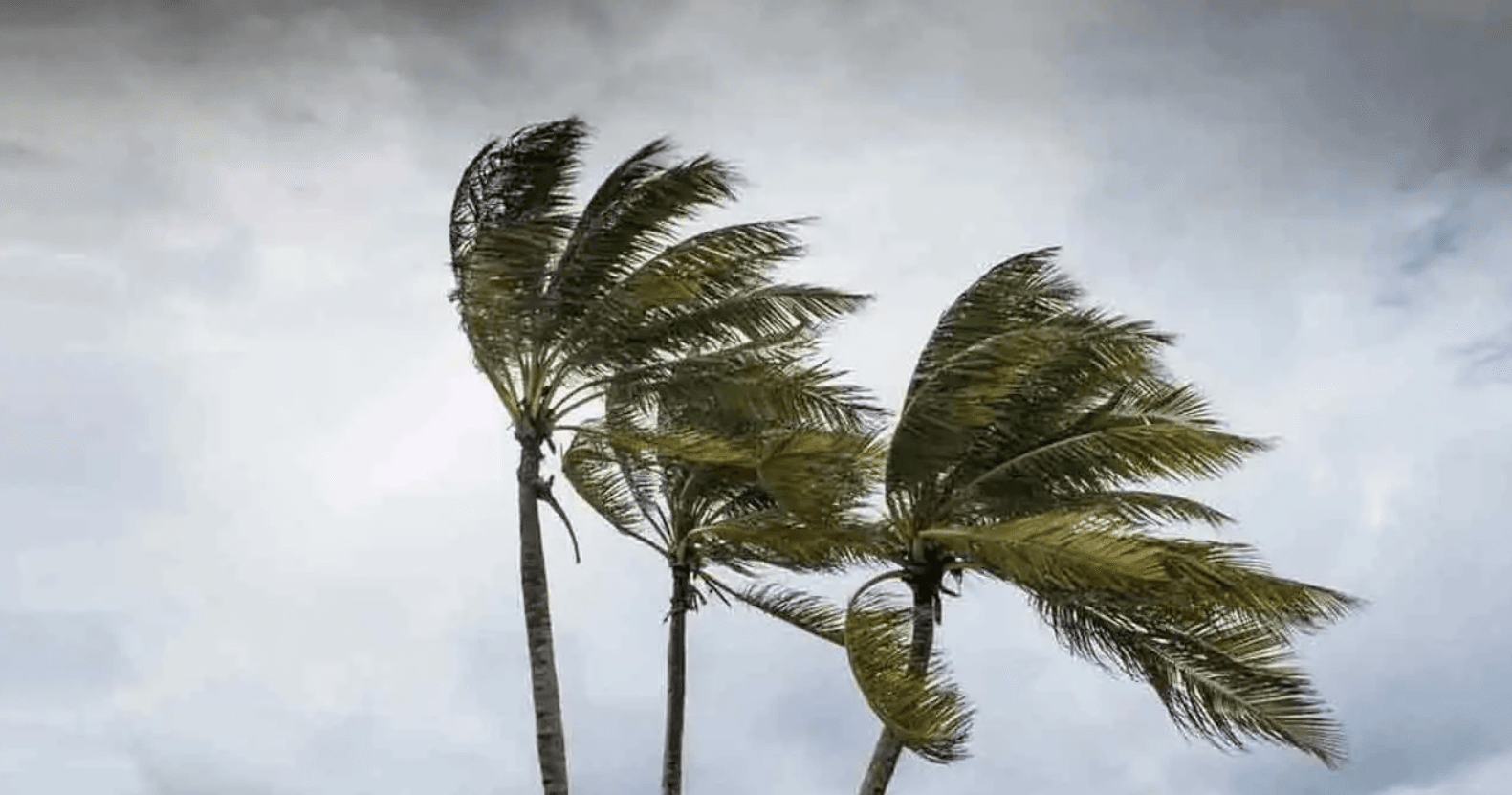 নোয়াখালী-চট্টগ্রাম-কক্সবাজারে বজ্রবৃষ্টি ও ঝোড়ো হাওয়ার পূর্বাভাস