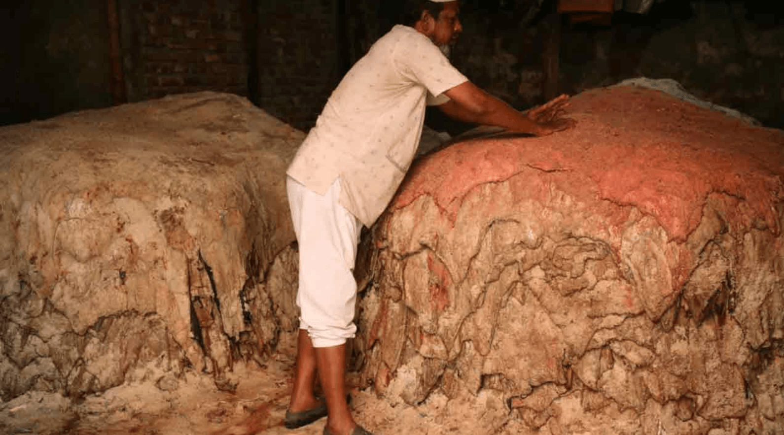 দুই হাজার টাকার চামড়া বিক্রি হচ্ছে মাত্র ৫০০ টাকায়